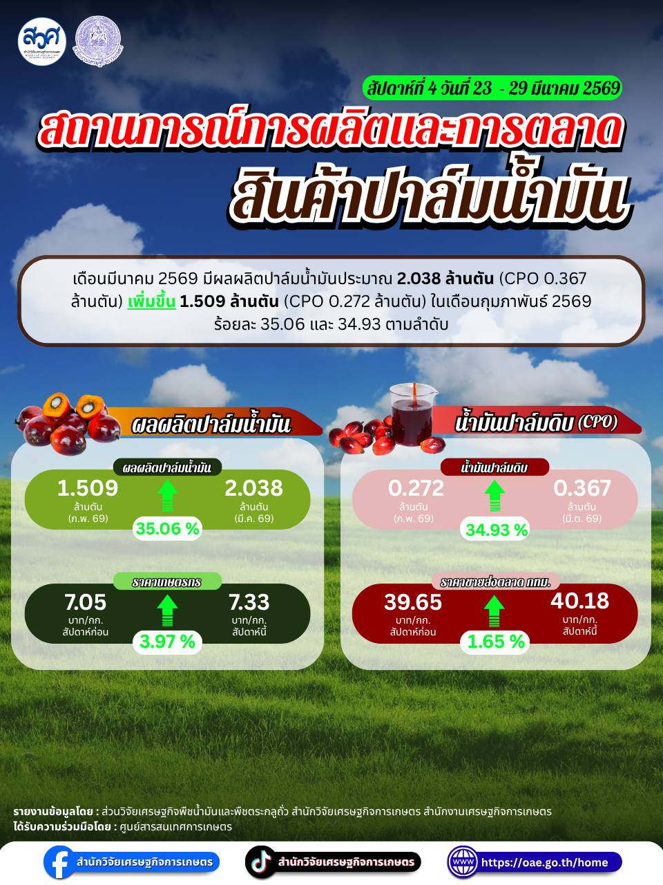 สถานการณ์การผลิตและการตลาด