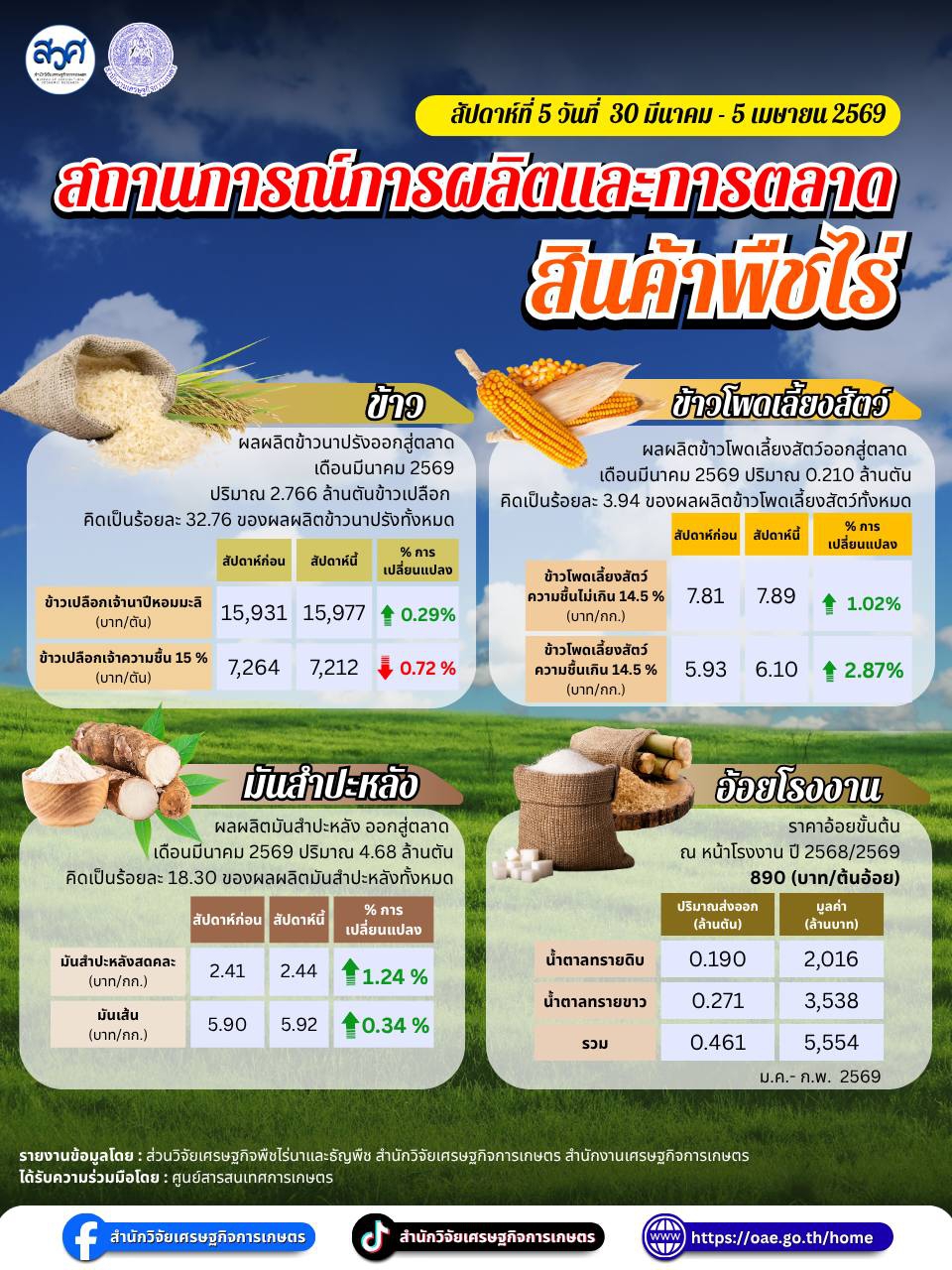 สถานการณ์การผลิตและการตลาด