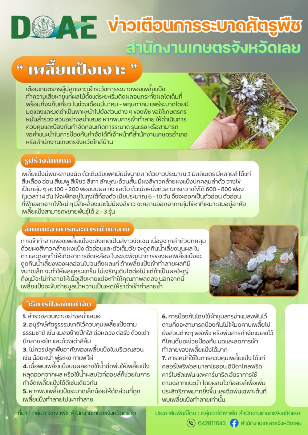 ข่าวเตือนการระบาดศัตรูพืช