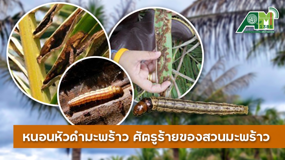 เตือนการเฝ้าระวัง