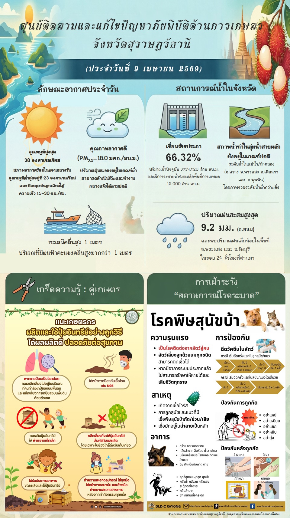 รายงานสถานการณ์ประจำวัน