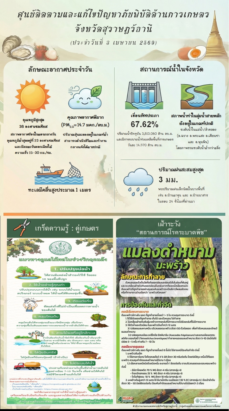 รายงานสถานการณ์ประจำวัน