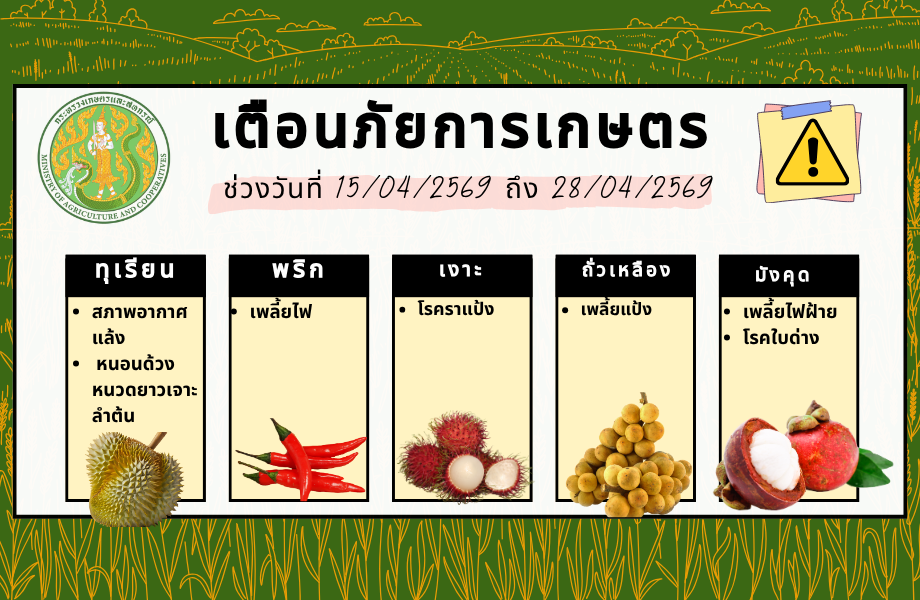 เตือนภัยการเกษตร ช่วงวันที่ 15/04/2569 ถึง 28/04/2569