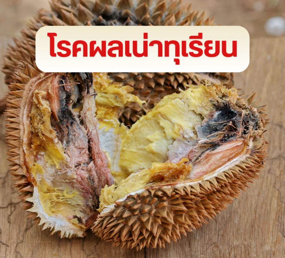 เตือนการเฝ้าระวัง