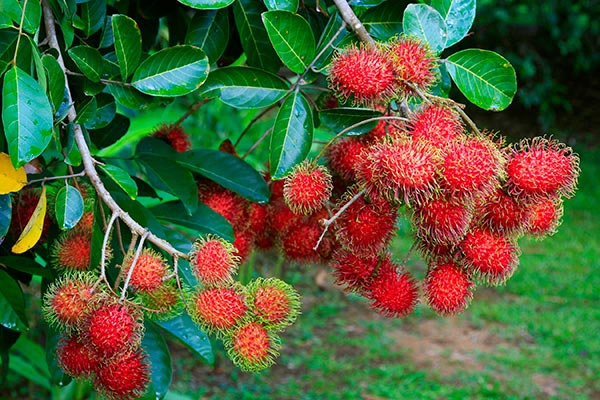 เตือนการเฝ้าระวัง