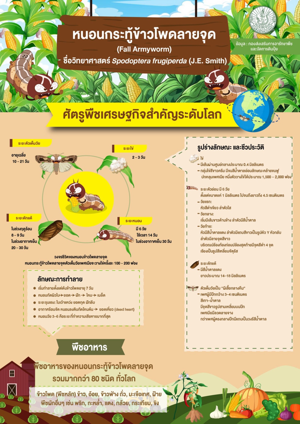 หนอนกระทู้ข้าวโพดลายจุด