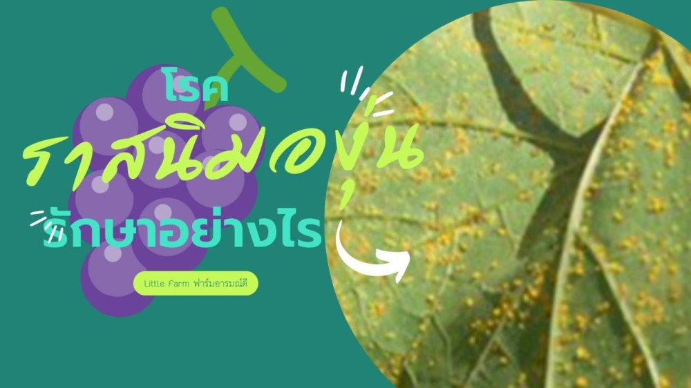 เตือนการเฝ้าระวัง