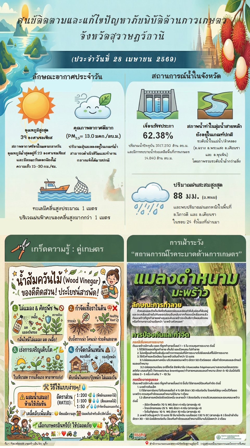 รายงานสถานการณ์ประจำวัน