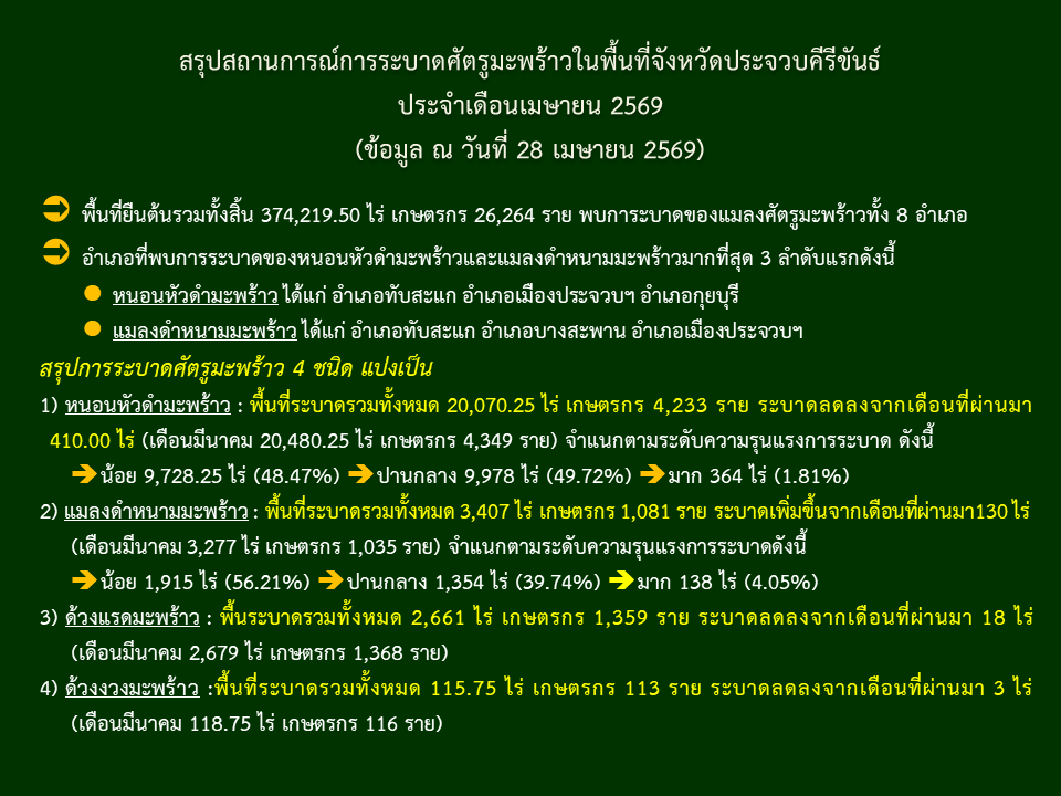 สรุปสถานการณ์การระบาดศัตรูมะพร้าวในพื้นที่จังหวัดประจวบคีรีขันธ์