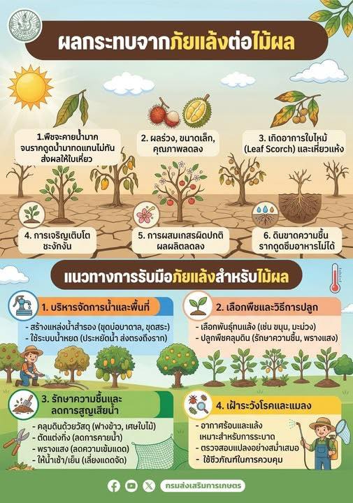 กรมส่งเสริมการเกษตรแนะแนวทางการ