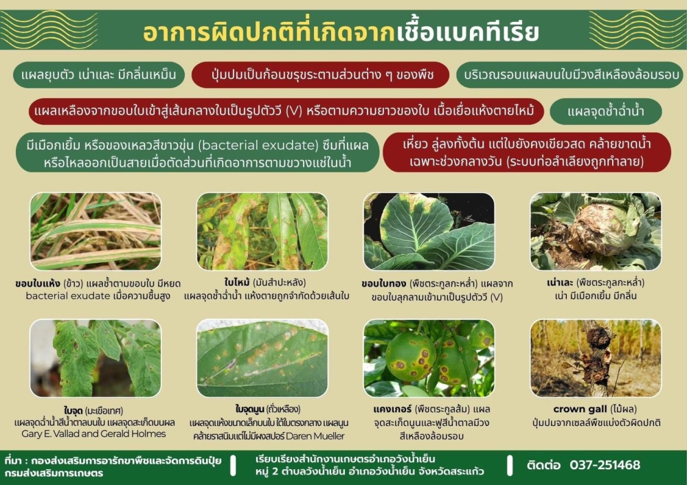 เตือนการเฝ้าระวัง