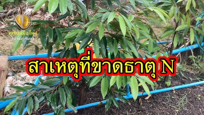 เตือนการเฝ้าระวัง