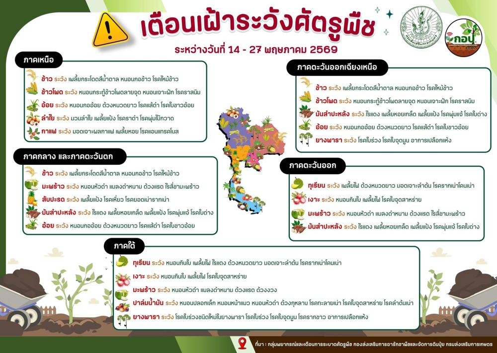 ประชาสัมพันธ์แจ้งเตือนเฝ้าระวังการระบาดศัตรูพืช