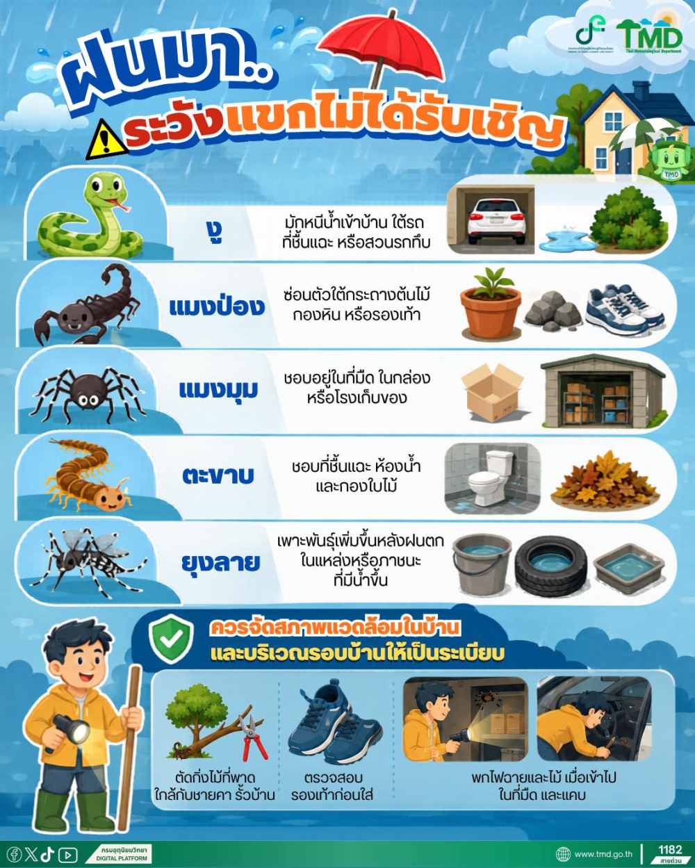 ระวังอันตราย จากสัตว์มีพิษในช่วงฤดูฝน