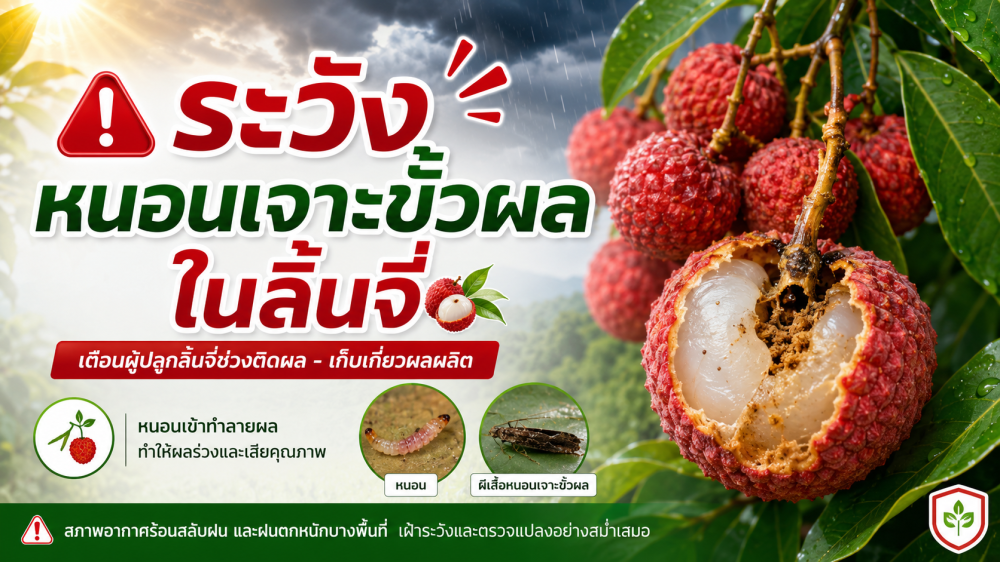 เตือนการเฝ้าระวัง