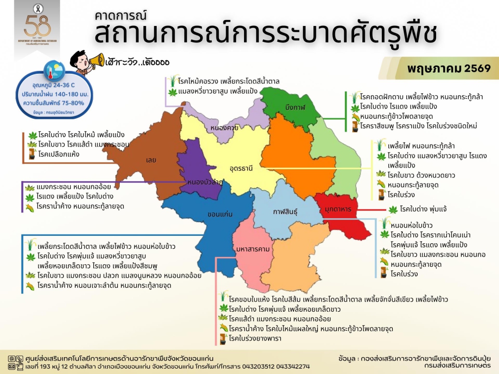 เฝ้าระวังศัตรูพืชเดือนพฤษภาคม