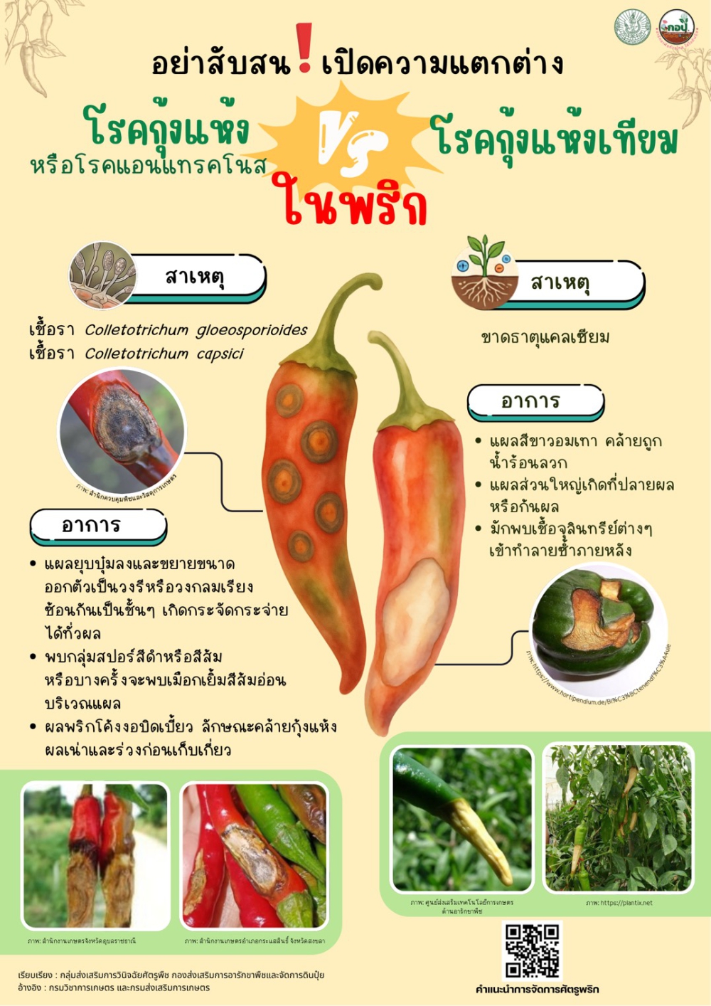 โรคกุ้งเเห้ง(เกิดจากเชื้อรา)กับอาการการขาดเเคลเซียม