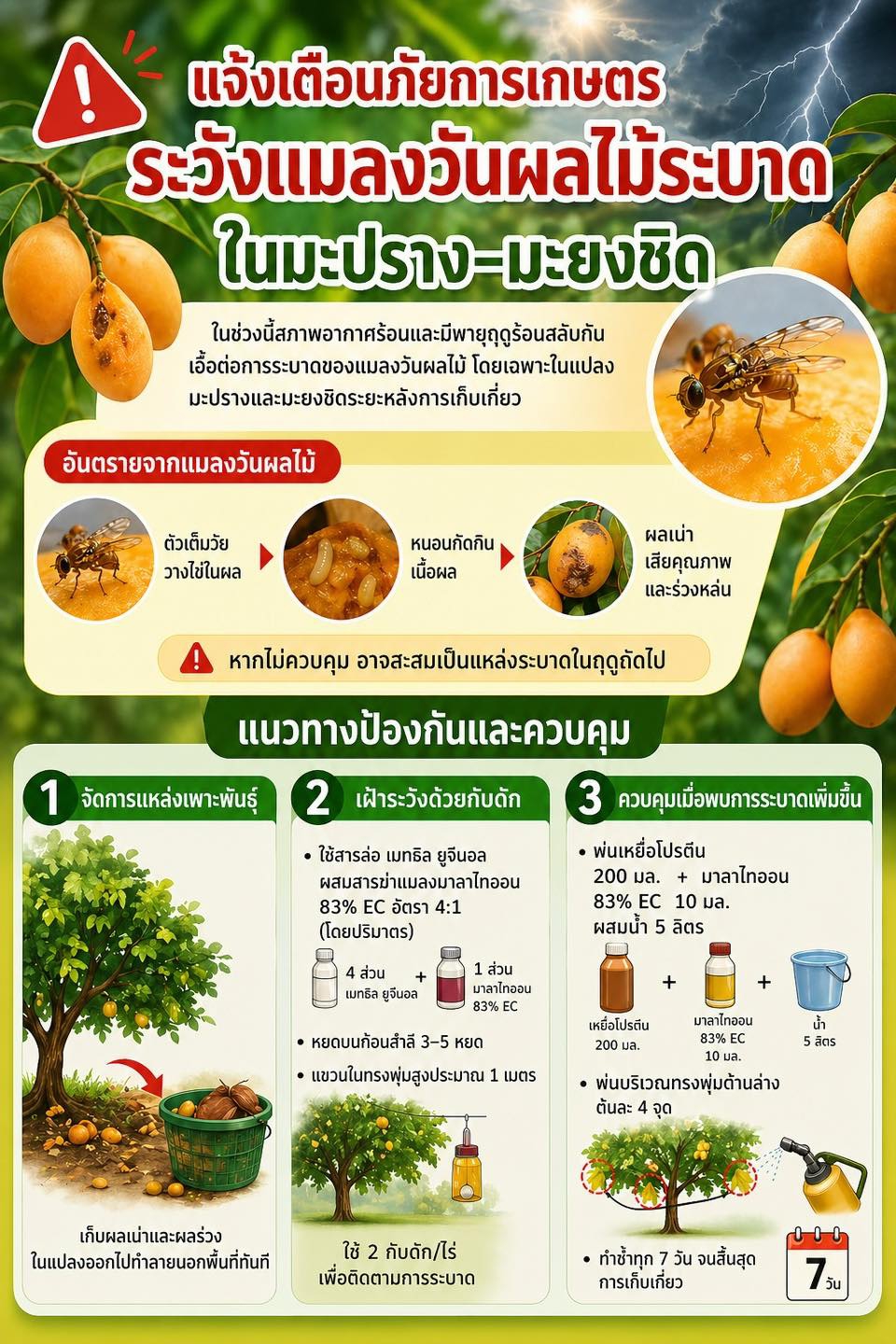เตือนภัยการเฝ้าระวัง