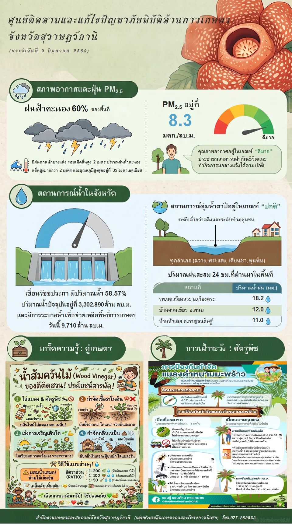 รายงานสถานการณ์ประจำวัน