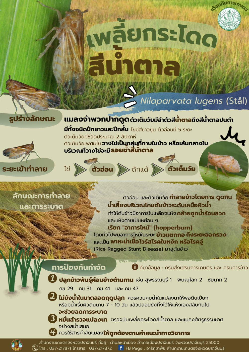 รายงานศัตรูพืชระบาด