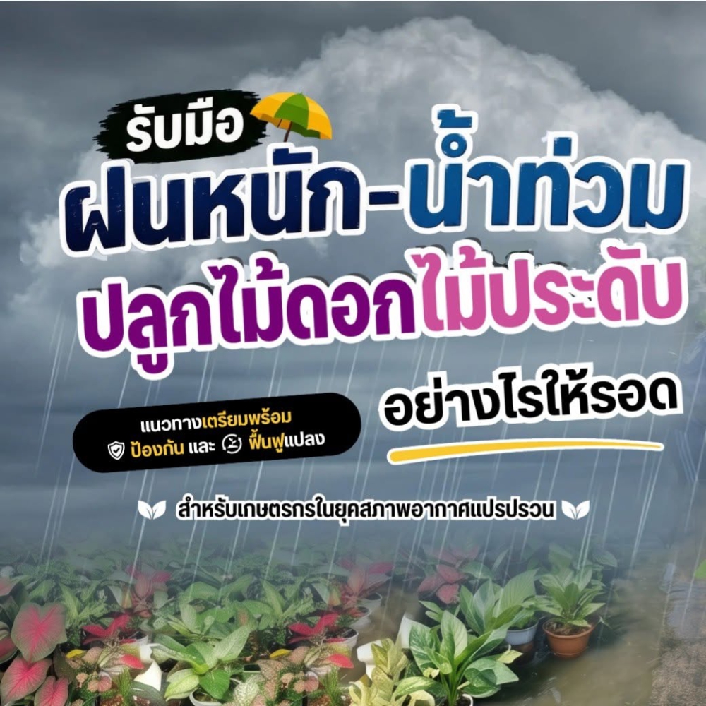 รับมือฝนหนัก–น้ำท่วม