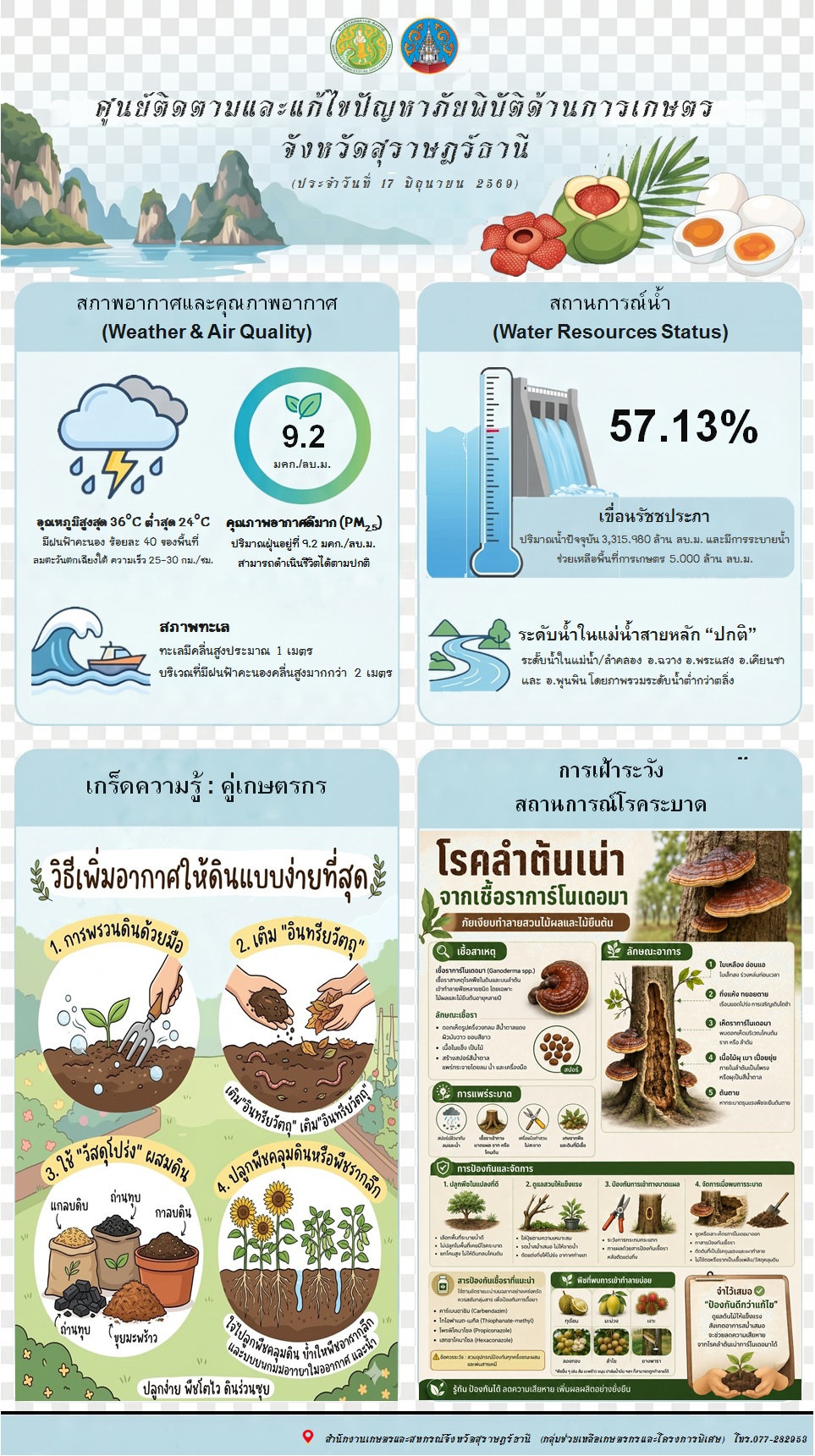 รายงานสถานการณ์ประจำวัน