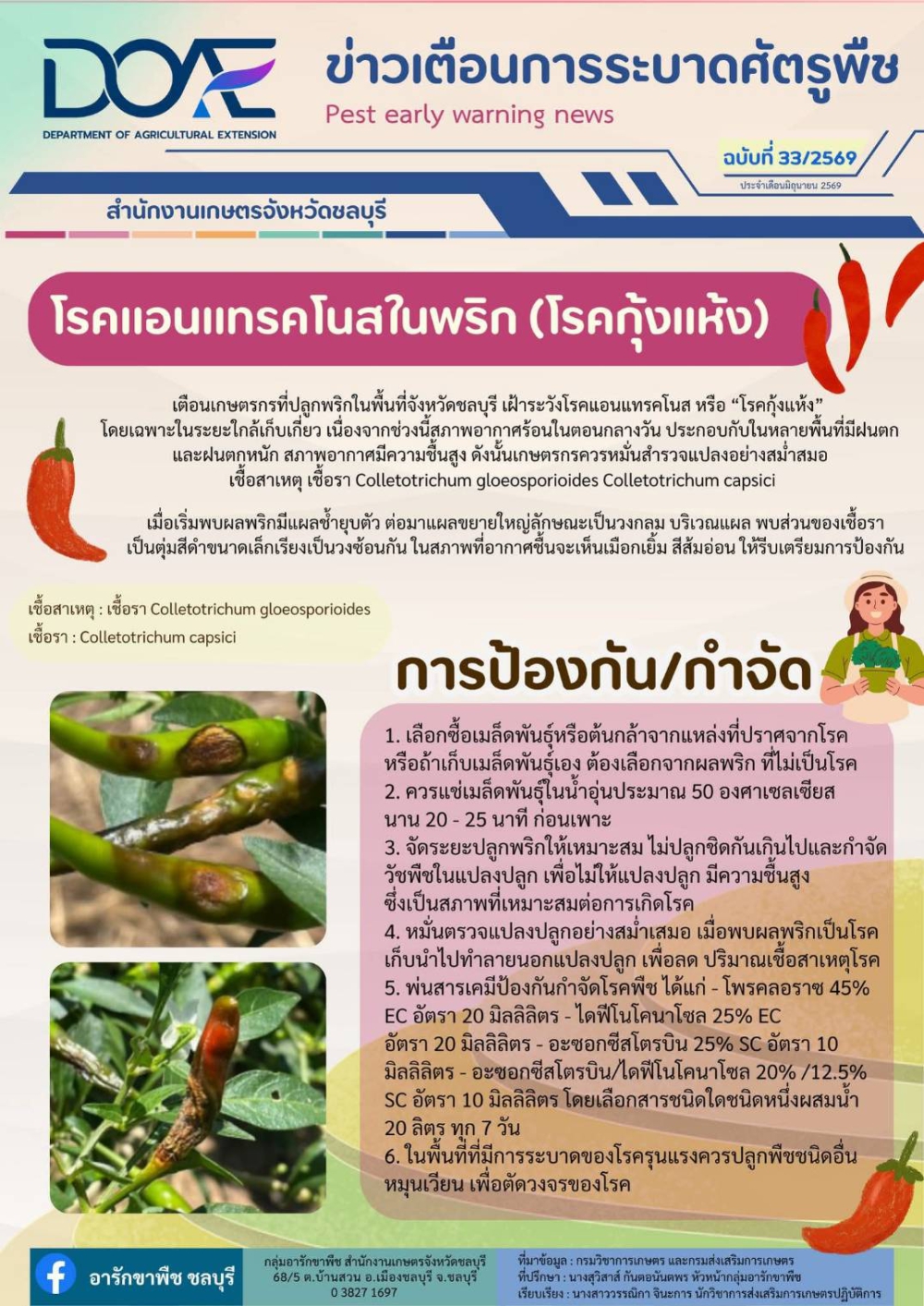 โรคแอนแทรคในพริก