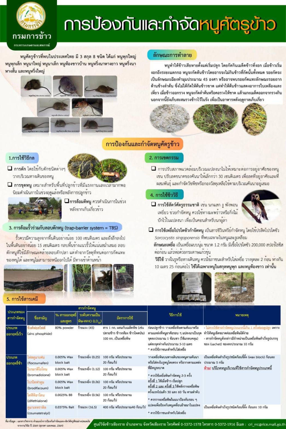 ประชาสัมพันธ์แจ้งเตือนเฝ้าระวังการะบาดของหนูศัตรูข้าว