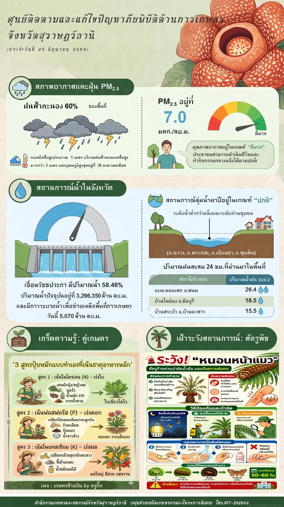 รายงานสถานการณ์ประจำวัน