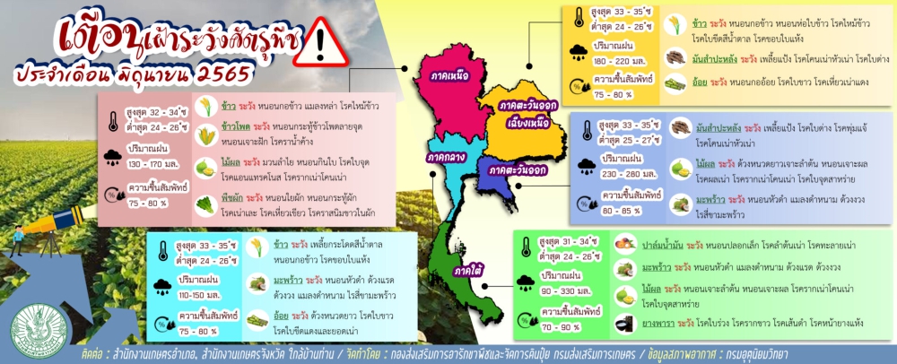 เฝ้าระวังศัตรูพืช ประจำเดือนมิถุนายน