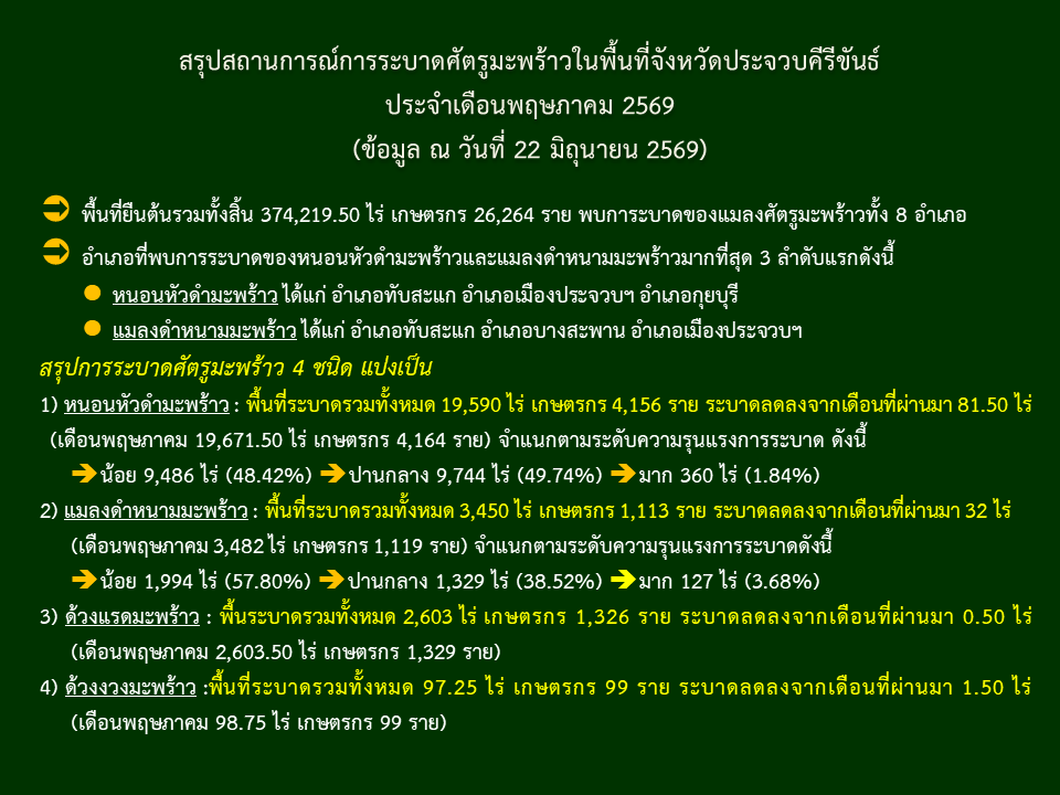 สรุปสถานการณ์การระบาดศัตรูมะพร้าวในพื้นที่จังหวัดประจวบคีรีขันธ์