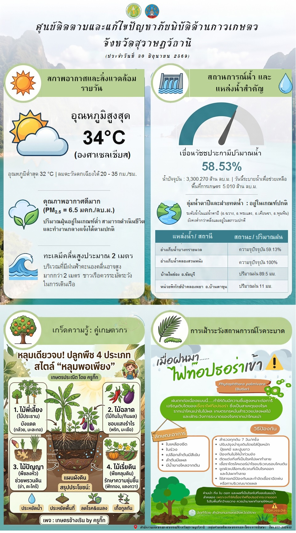 รายงานสถานการณ์ประจำวัน