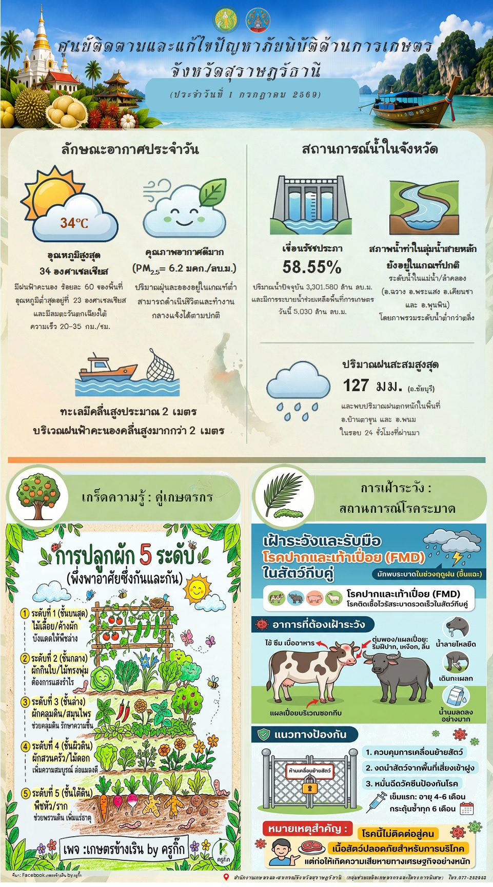 รายงานสถานการณ์ประจำวัน