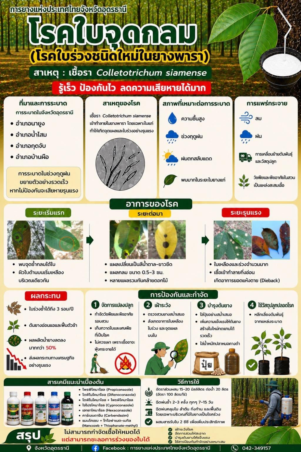 โรคใบจุดกลม (โรคใบร่วงชนิดใหม่ในยางพารา)