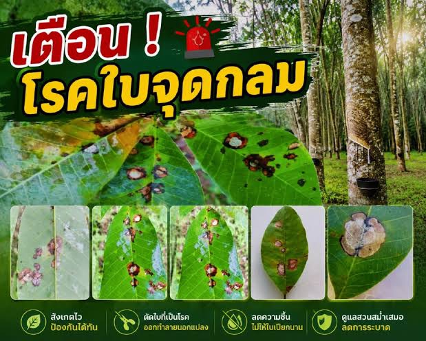 เตือนการเฝ้าระวัง