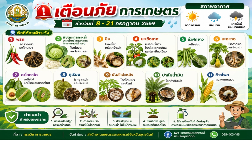 เตือนภัยการเกษตร ช่วงวันที่ 8-21 กรกฎาคม 2569