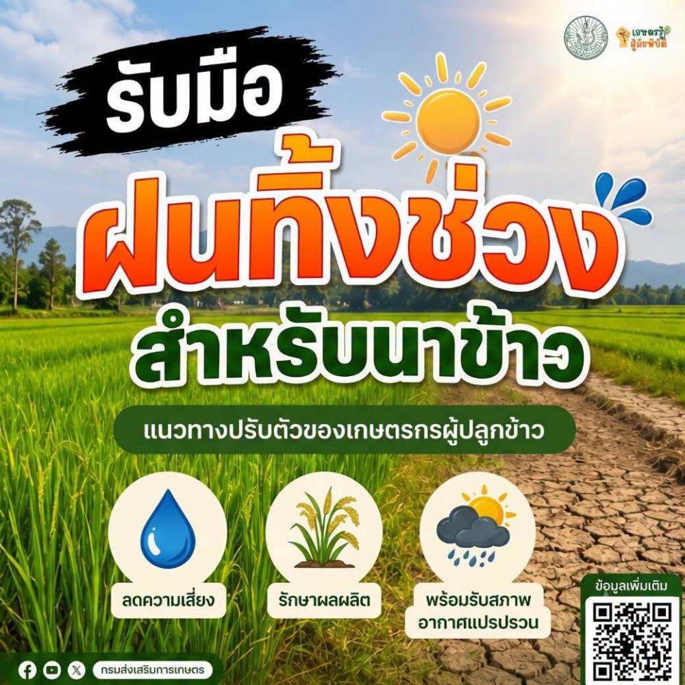 สภาพอากาศแปรปรวน อย่าชะล่าใจกับฝนช่วงนี้