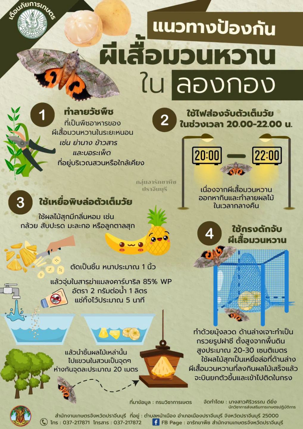 แนวทางป้องกันผีเสื้อมวนหวานในลองกอง