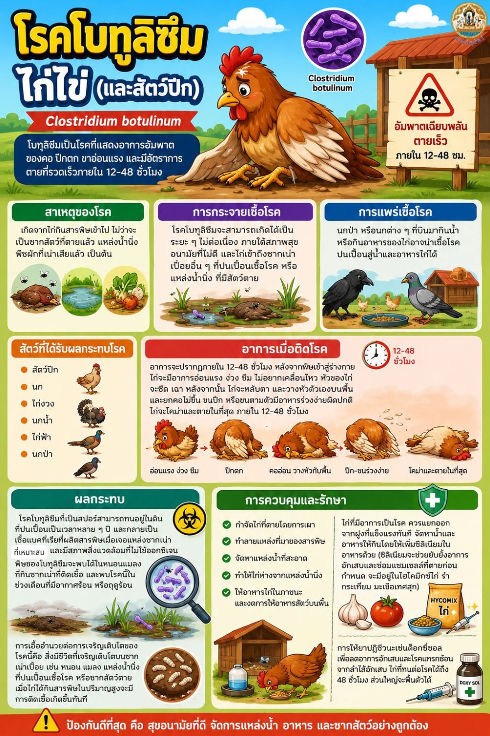 เตือนการเฝ้าระวัง โรคโบทูลิซึมไก่ (และสัตว์ปีก)