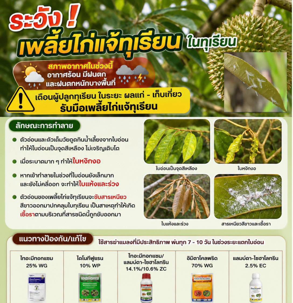 เตือนการเฝ้าระวัง