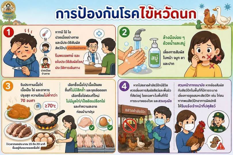 การป้องกันโรคไข้หวัดนก