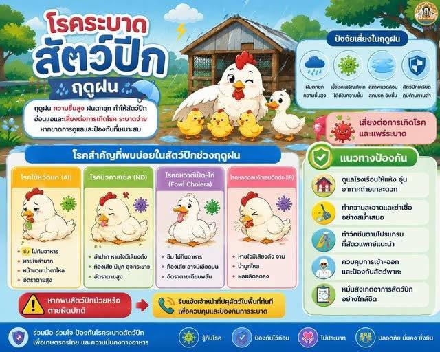 เตือนการระวังโรคระบาดสัตว์ปีกฤดูฝน
