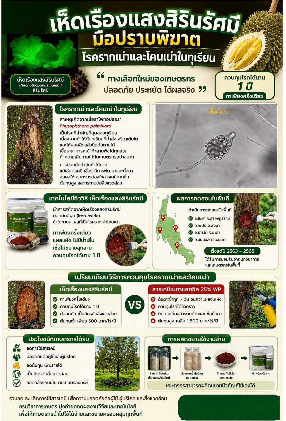 เห็ดเรืองแสงสิรินรัศมี