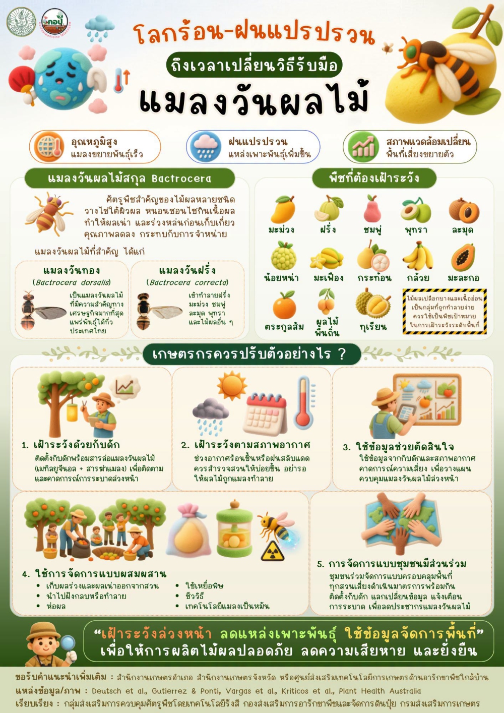 โลกร้อน–ฝนแปรปรวน แมลงวันผลไม้ระบาดง่ายกว่าที่คิด!
