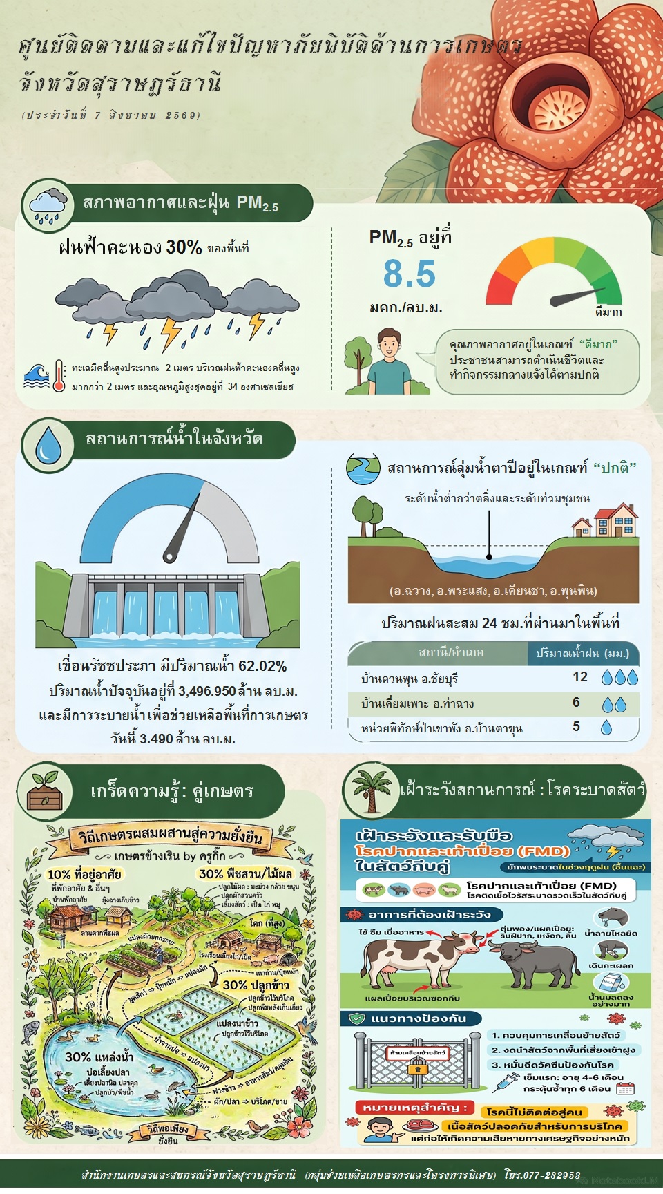 รายงานสถานการณ์ประจำวัน