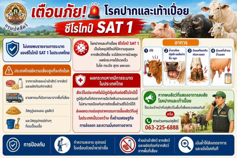 เตือนภัย โรคปากและเท้าเปื่อย