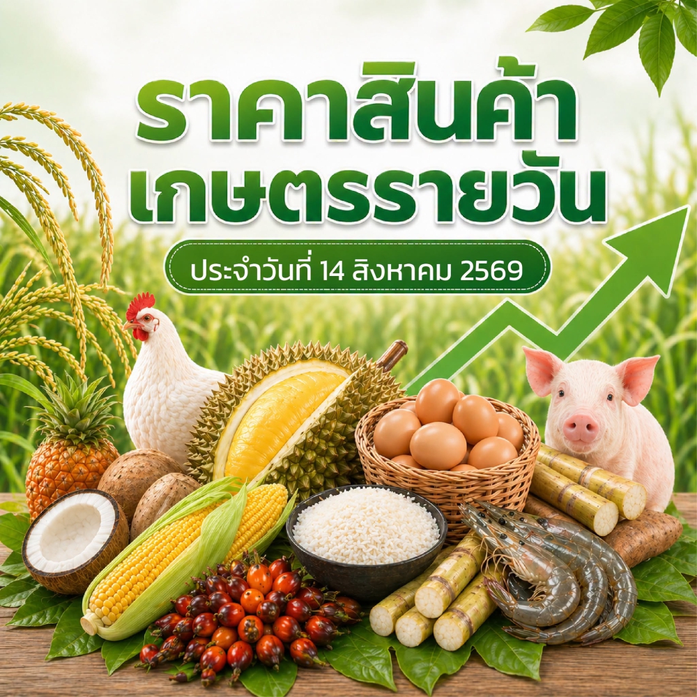 ราคาสินค้าเกษตรรายวัน ประจำวันที่ 14 สิงหาคม 2569
