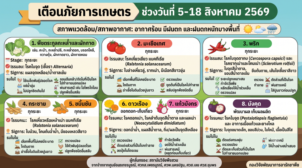 เตือนภัยเกษตร 5-18 สิงหาคม 69