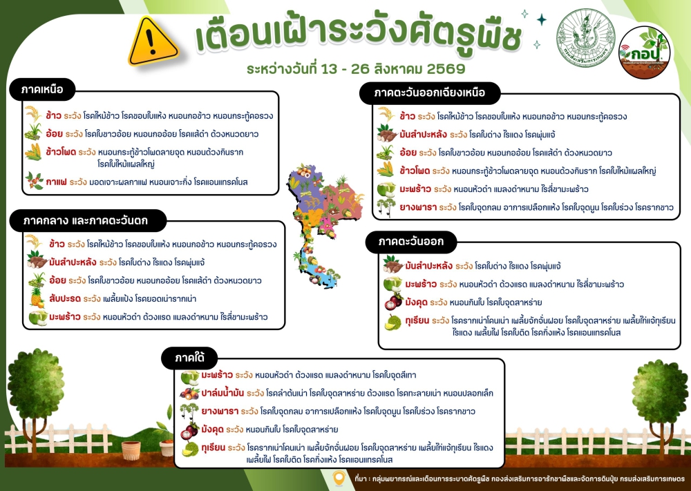 เตือนเฝ้าระวังศัตรูพืช