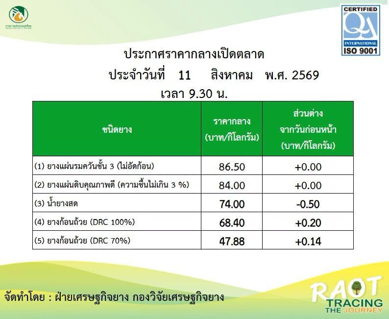 ราคากลางเปิดตลาด กยท. วันที่ 11 สิงหาคม 2569